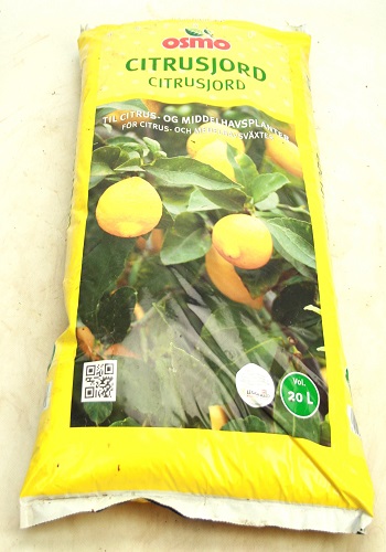 Citrus jord